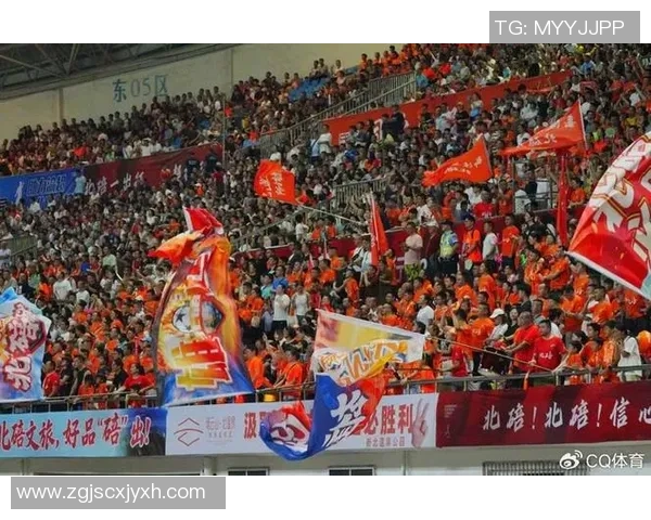 传奇归来足球明星赛盛典重燃激情球迷共聚欢庆足球之夜