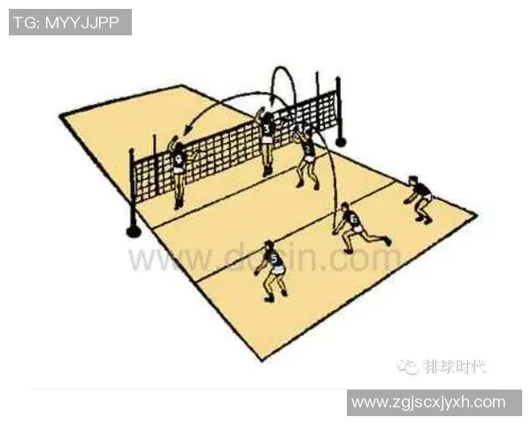 成都排球队在精英赛中的战术表现分析与点评探讨