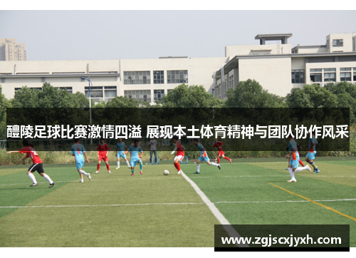 醴陵足球比赛激情四溢 展现本土体育精神与团队协作风采
