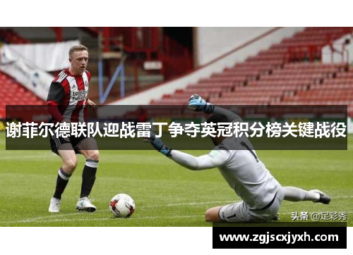 谢菲尔德联队迎战雷丁争夺英冠积分榜关键战役